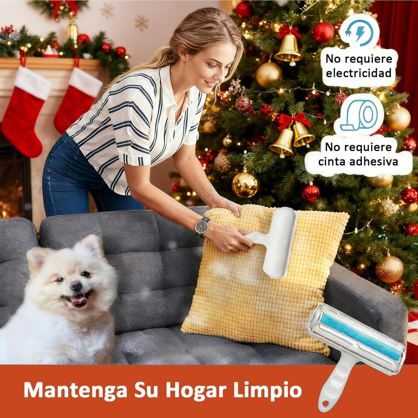 Hogar sin pelos de mascota