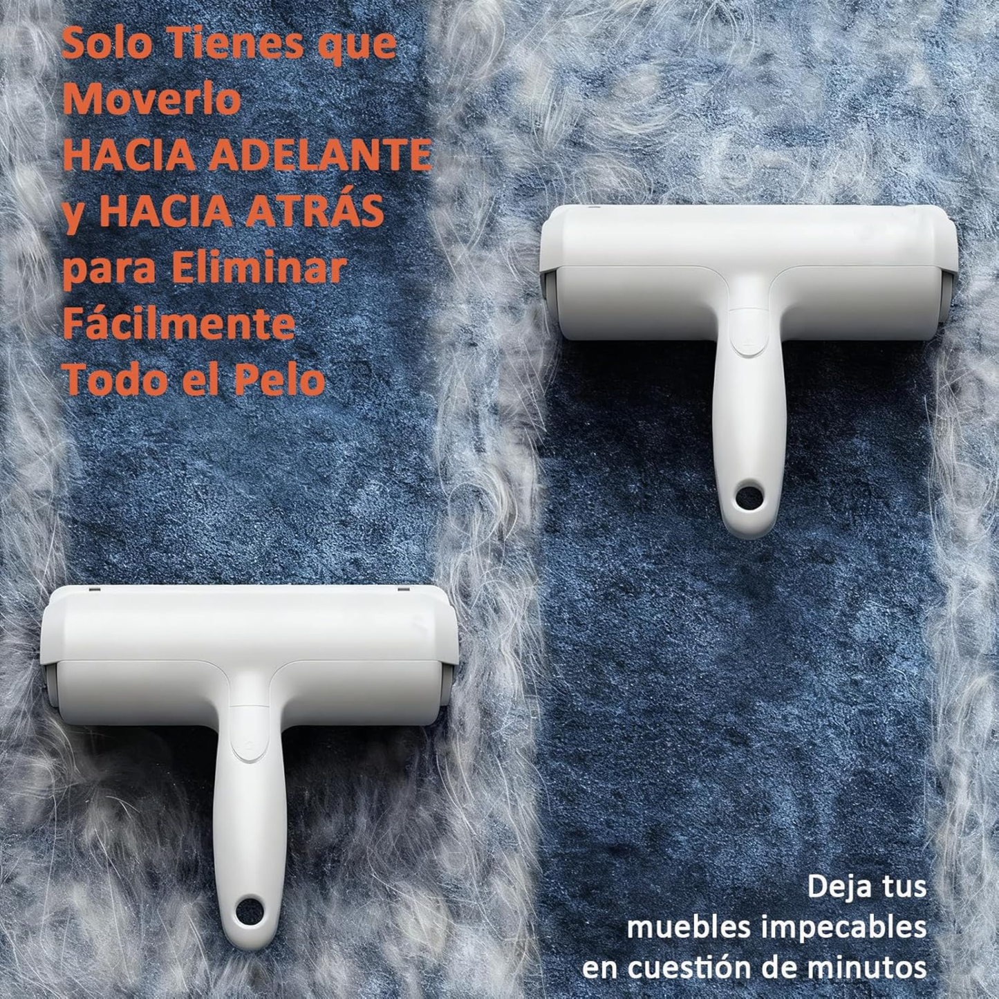 Hogar sin pelos de mascota