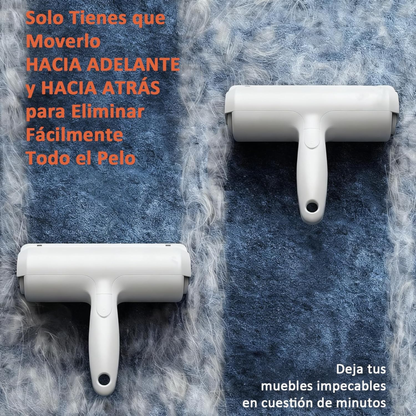 Hogar sin pelos de mascota