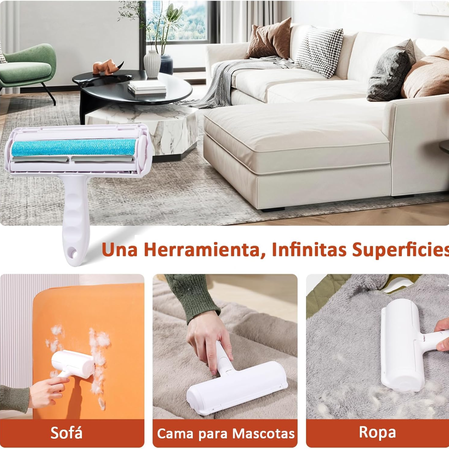 Hogar sin pelos de mascota