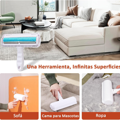 Hogar sin pelos de mascota